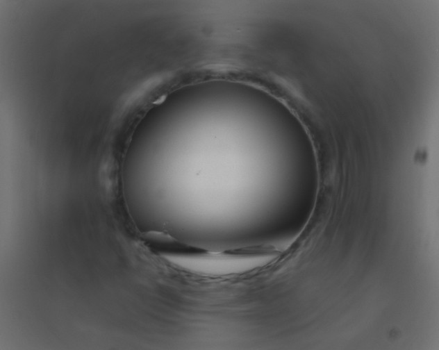 X0000094931398200712131526
