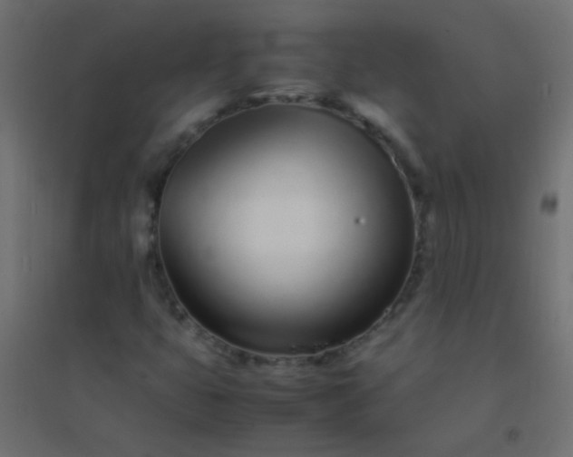 X0000094931399200712131526