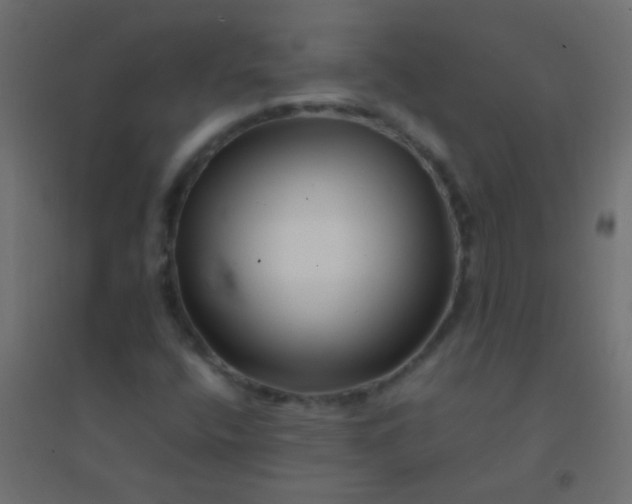 X0000094931400200712131526