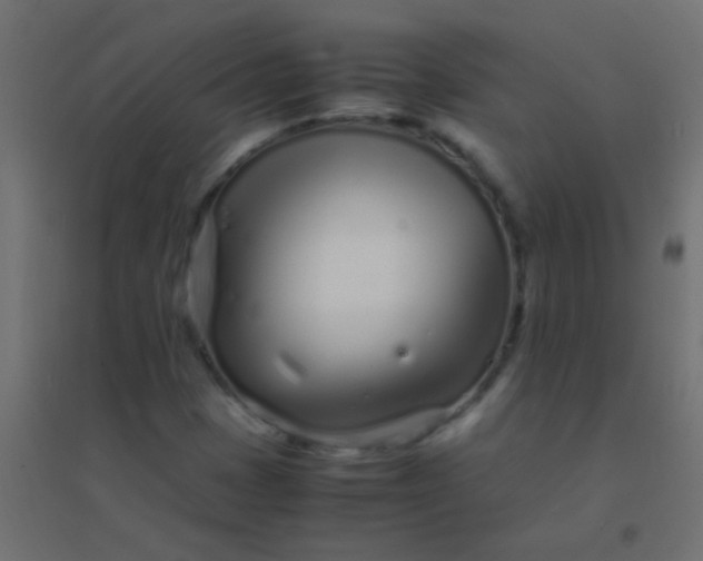 X0000094931401200712131526