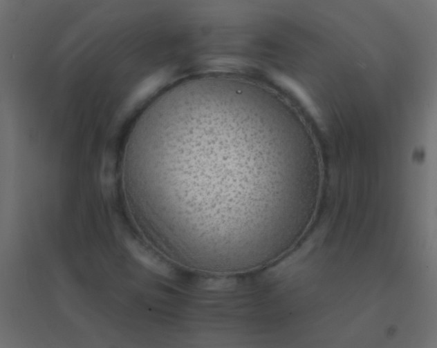 X0000094931403200712131527