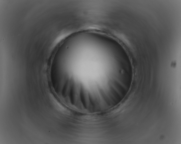 X0000094931404200712131527