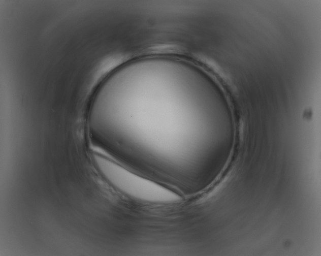 X0000094931405200712131527