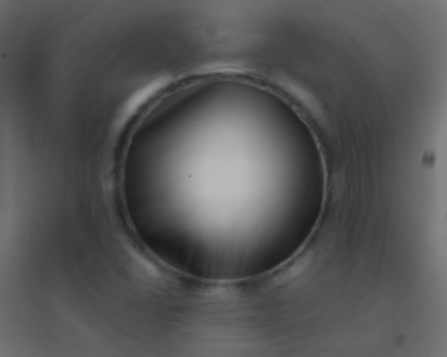 X0000094931406200712131527