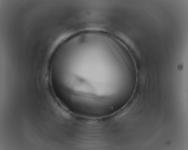 X0000094931408200712131527