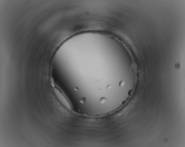 X0000094931409200712131527