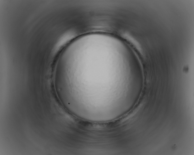 X0000094931411200712131527