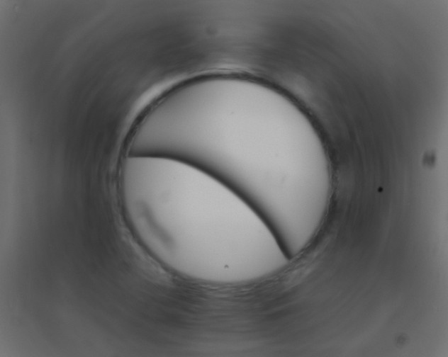 X0000094931412200712131527