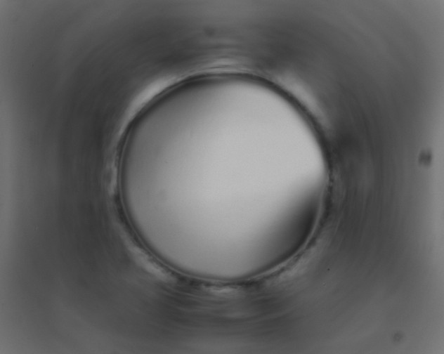 X0000094931413200712131527