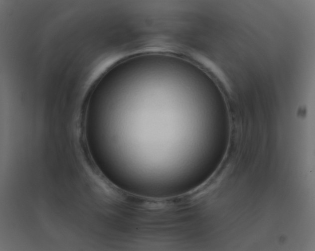 X0000094931415200712131527