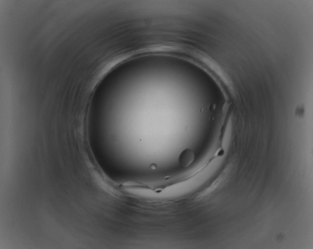 X0000094931417200712131527