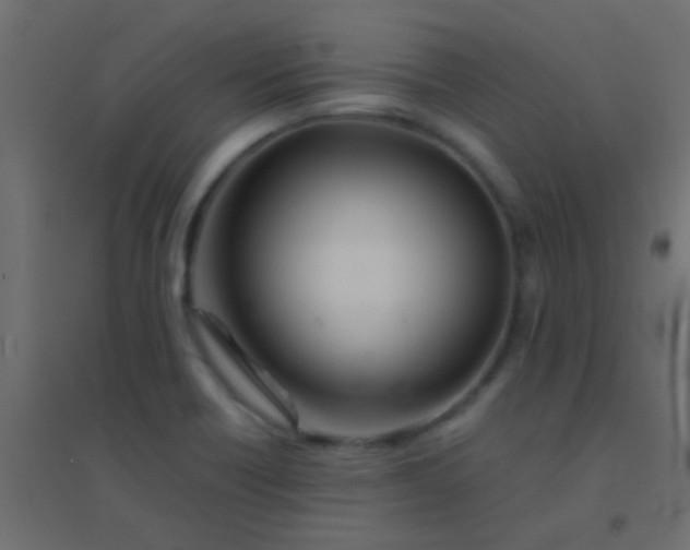 X0000094931418200712131527