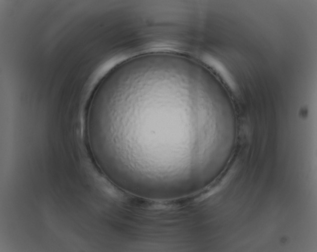 X0000094931419200712131527