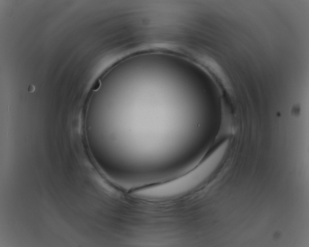 X0000094931420200712131527