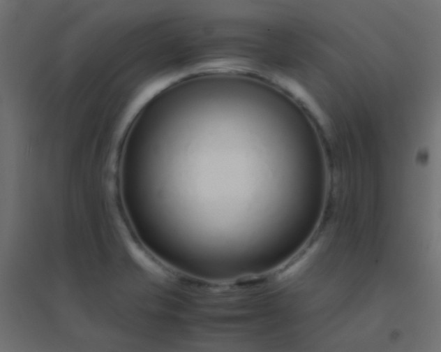 X0000094931421200712131527