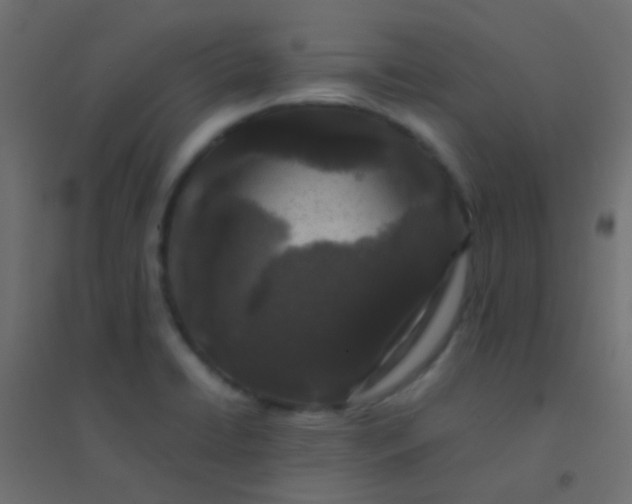 X0000094931422200712131527