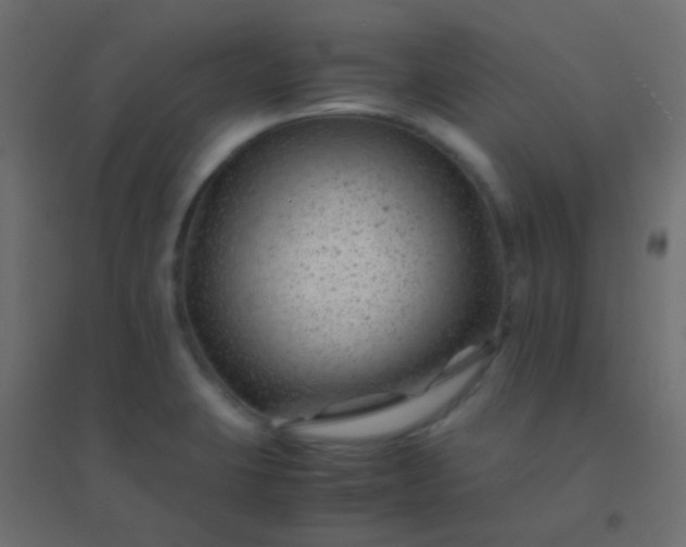 X0000094931423200712131527
