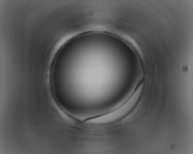 X0000094931424200712131527