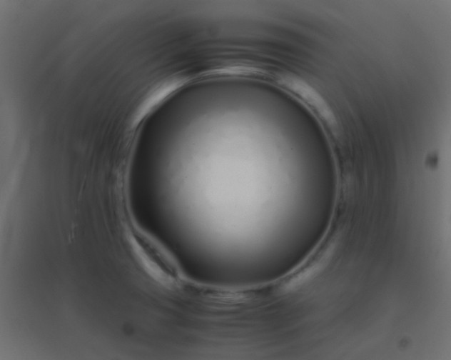 X0000094931425200712131527