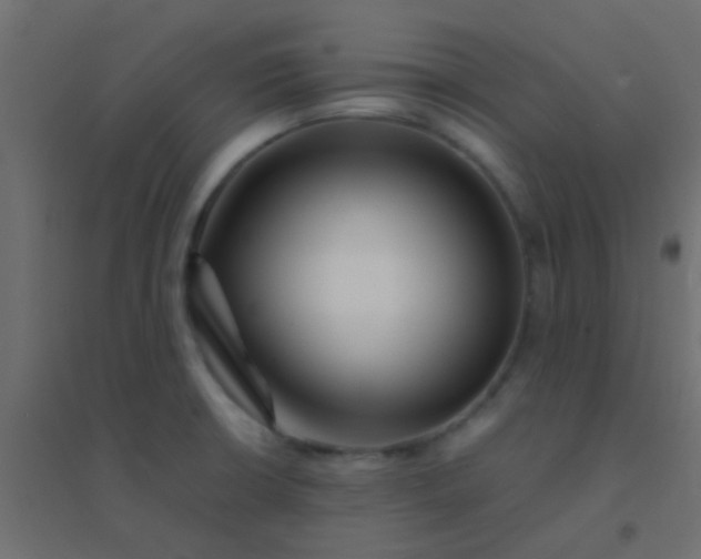X0000094931426200712131527