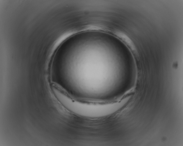X0000094931427200712131527