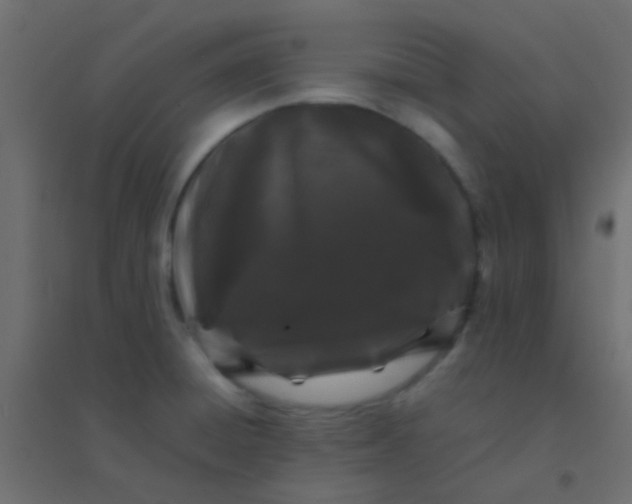 X0000094931428200712131527