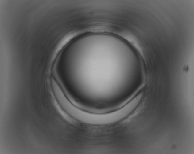 X0000094931429200712131527