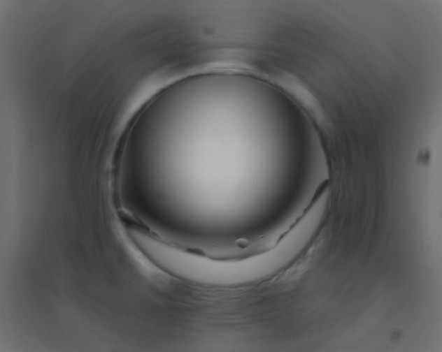 X0000094931430200712131527