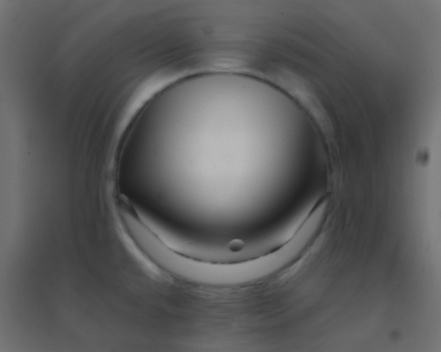 X0000094931432200712131527