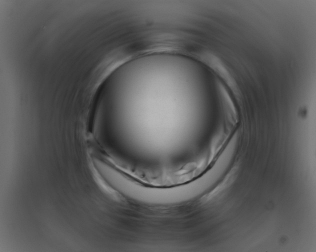 X0000094931433200712131527