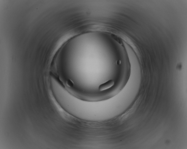 X0000094931434200712131527