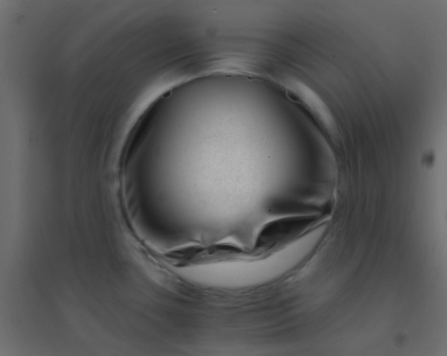 X0000094931435200712131527