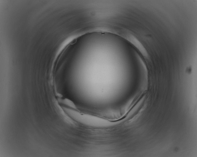 X0000094931436200712131527