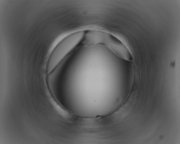 X0000094931438200712131527