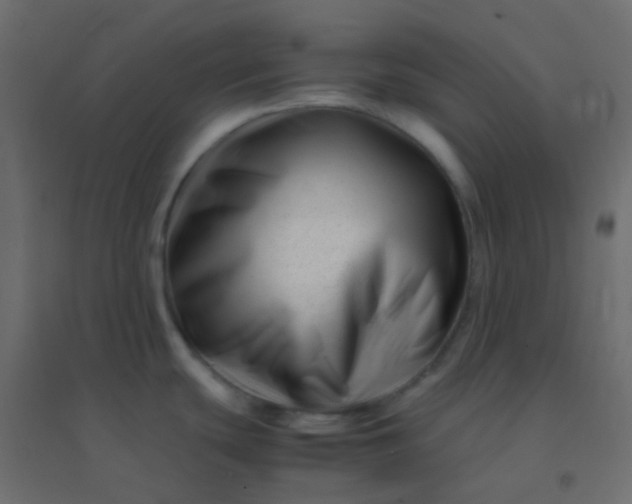 X0000094931439200712131527