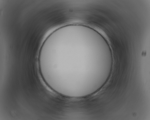 X0000094931440200712131527