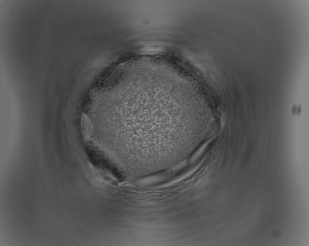 X0000094931441200712131526