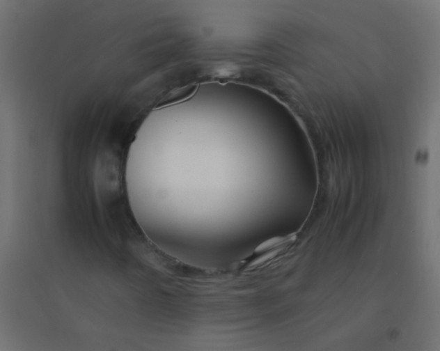 X0000094931442200712131526