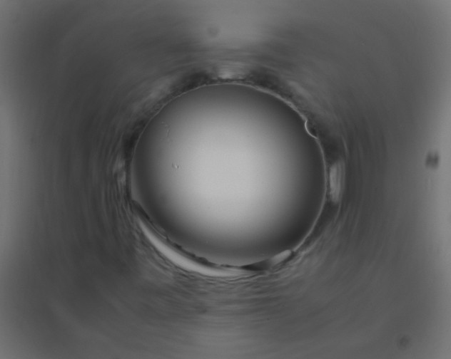 X0000094931443200712131526