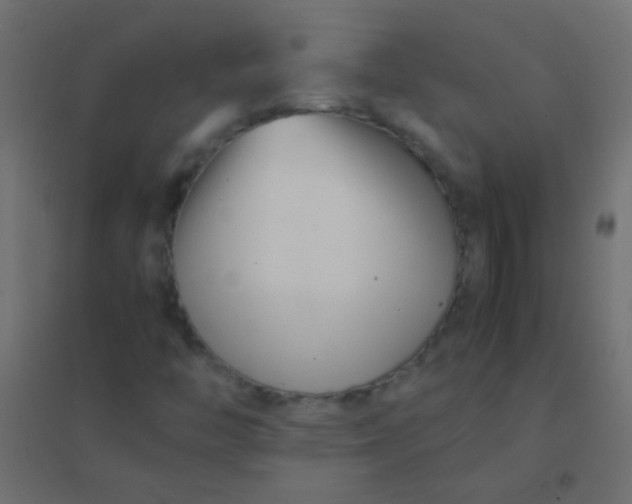 X0000094931446200712131526