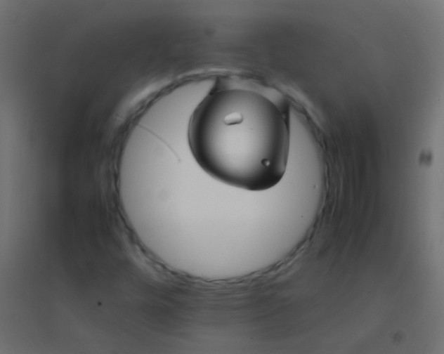 X0000094931448200712131526