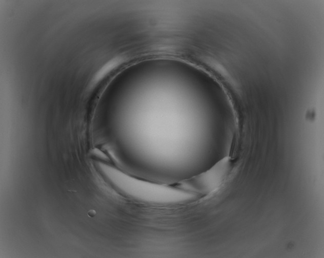 X0000094931450200712131526
