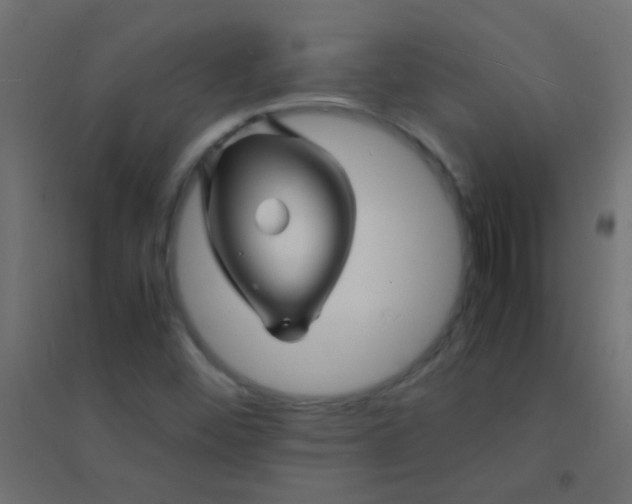 X0000094931452200712131526