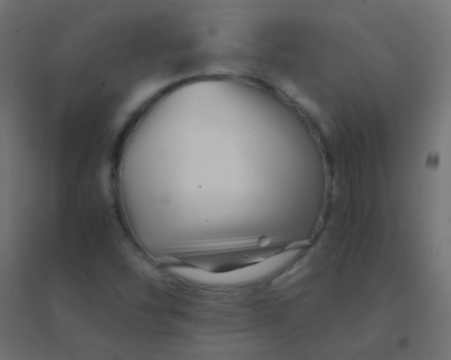 X0000094931454200712131526