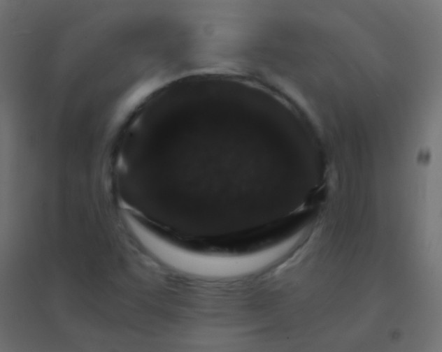 X0000094931455200712131526