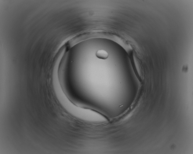 X0000094931457200712131526