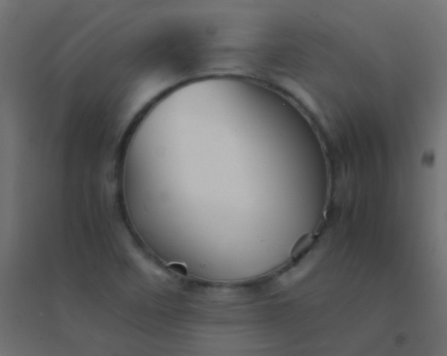 X0000094931458200712131526