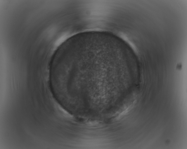 X0000094931459200712131526