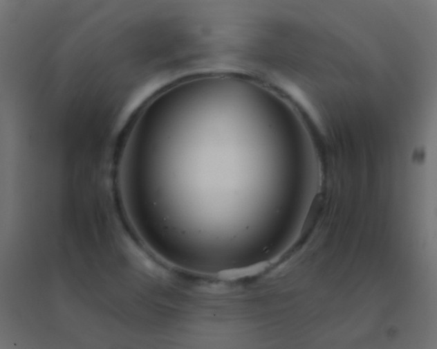 X0000094931460200712131526