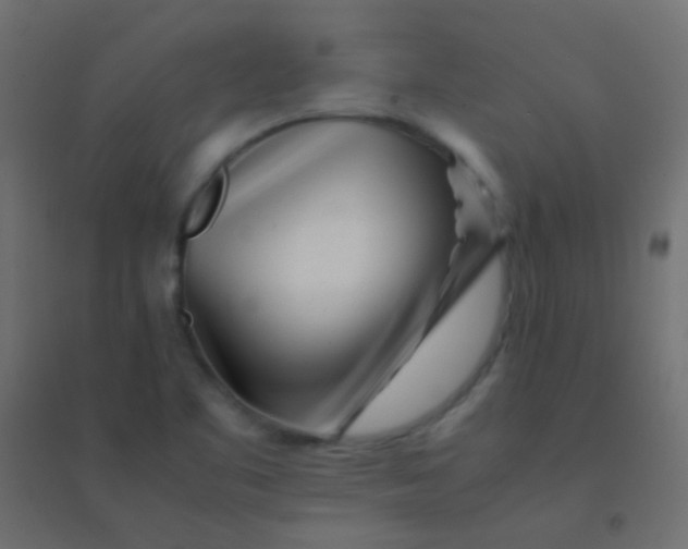 X0000094931461200712131526